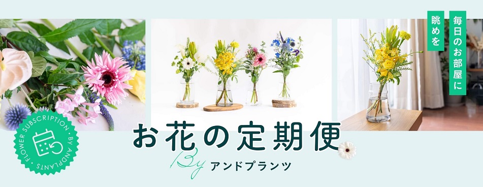 お花の定期便（サブスク）アンドプランツ